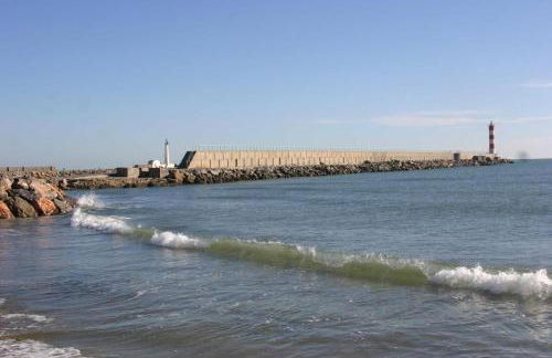 Le Mieukerien - Réserve africaine 15 mn - Plage 200 m - Foto 21