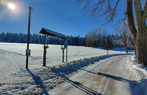 Erzhof Nassau- Gästezimmer an der Loipe - Foto 4
