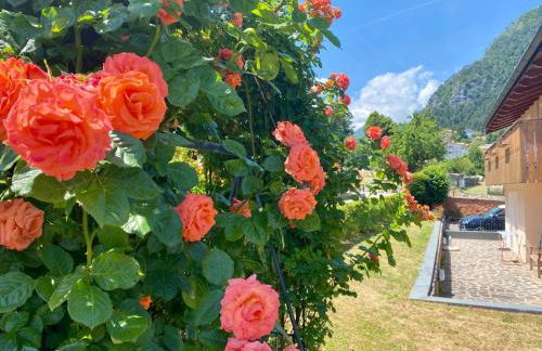 Casa Pallanch - Foto 25