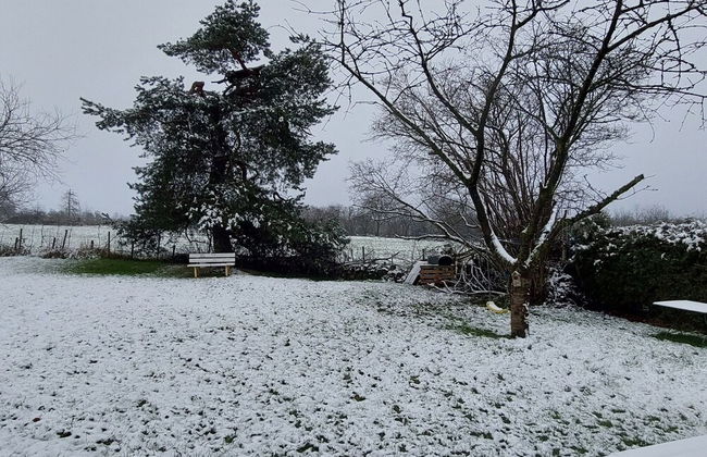 Holiday Home 'ardennes Blue' in Theux Near Spa - Photo 54