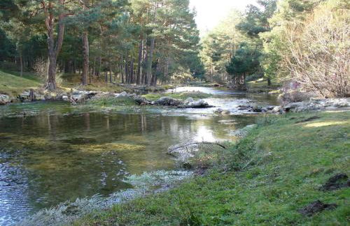 El Leñador I - Photo 29