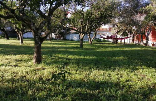 Casa das Laranjeiras e parque infantil - Foto 22