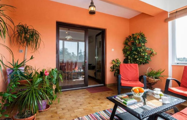 Seaside Oasis Apartments on Island Ugljan - Foto 11