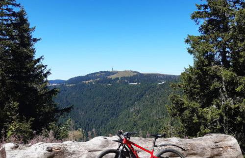 Kopf Frei auf 1000 Meter - Photo 32