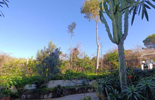 Cinque Tomoli - Foto 11