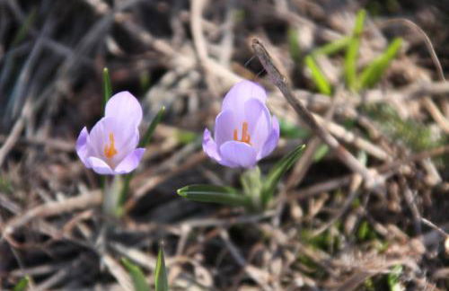 les Gites de l’E.D.E. - Photo 35