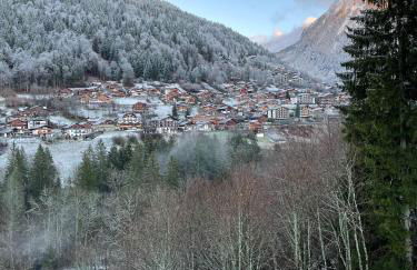 Résidence Les Voroches - Foto 38