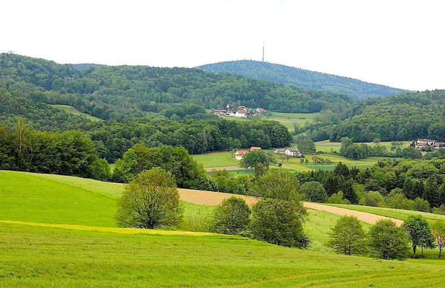 Comfortably Furnished Apartment in Lower Bavaria - Foto 27