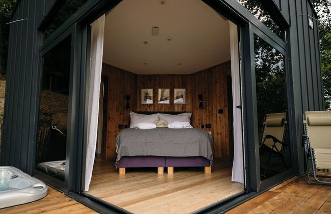 PurpleVague - Photo 9