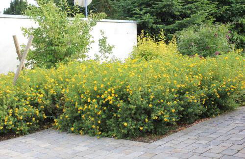 Ferienhaus Däschinger Das Zweiradparadies - Foto 50