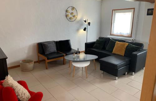 La ciboulette - Foto 4