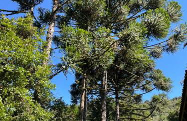 Memora Guesthouse Bateias - Casa Inteira e quartos em chácara - Photo 61
