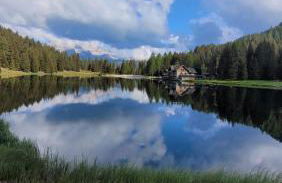 Very Nice Appartment for 4, Marilleva 900, Val di Sole - Foto 15