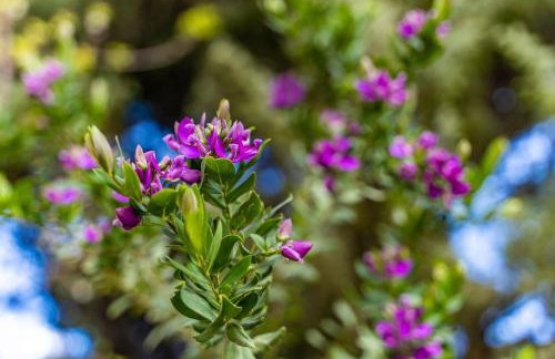 Casa Pineta - Foto 25