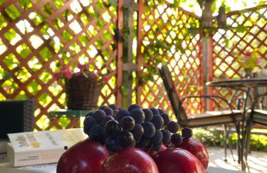 Zielone Okiennice Łagów - Foto 16