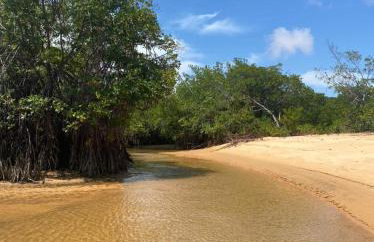 Chácara Adelly - Foto 14