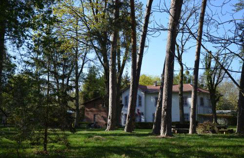 Dworek nad Jeziorem Wądzyn - Foto 38