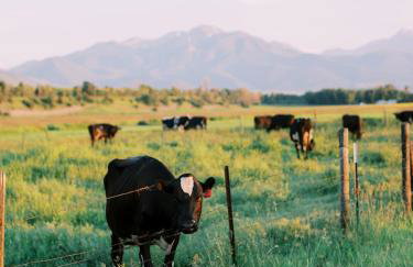 Copper Rose Ranch - Foto 68