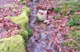 Maison RoMa, se ressourcer proche de Gerardmer et La Bresse - Foto 29
