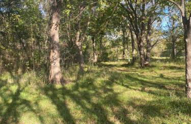 Pecan Grove Cabin - Foto 15