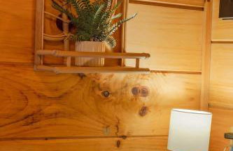 Ani Cabin Tiny Home Bordered By National Forest - Foto 23
