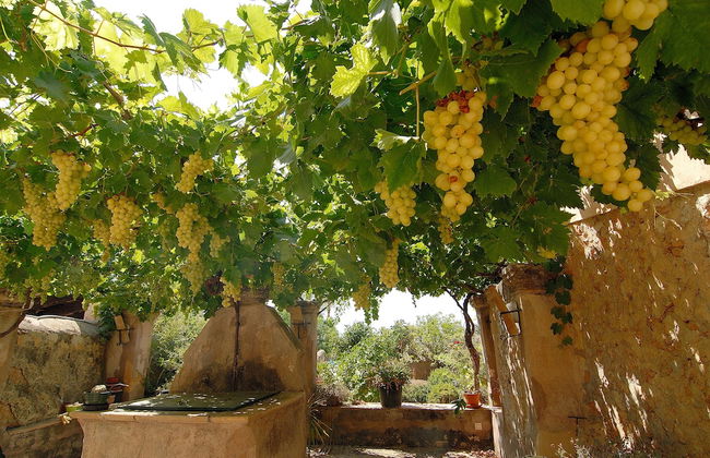 Hotel Son Trobat Wellness & Spa - Foto 50