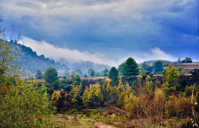 Mas de Leon - Photo 44