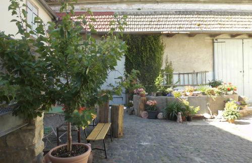 Gästezimmer Mittelgasse - Foto 27