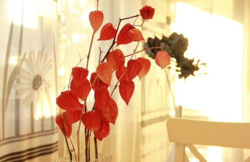 Ferienwohnung Klimek - Photo 11