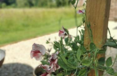 Lapwing Hut - Photo 12