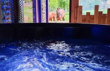 Le Ranch Normand - Foto 11