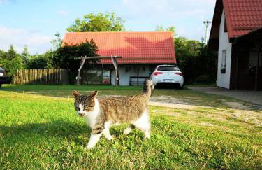 Dylewianka - Foto 12