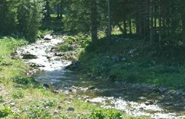 Ferienwohnung Ilona, Armin & Simon Funke - Photo 16