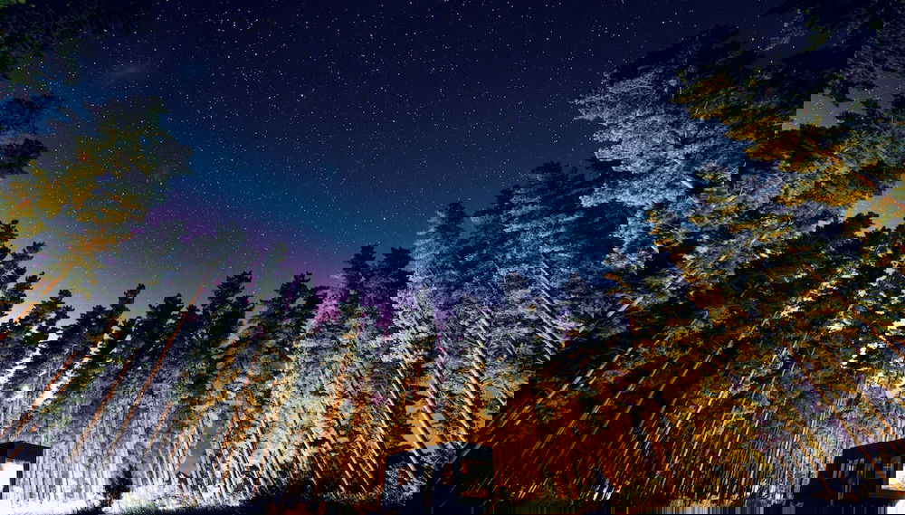 CABN Kuitpo Forest - Foto 1, Imagen principal