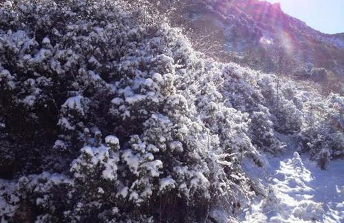 Andrea Sofi Guesthouse - Photo 65