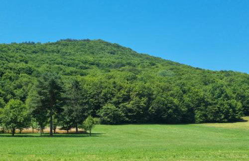 Luxury Apartment Megy - Foto 65