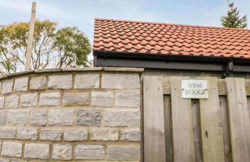 Vine Lodge - Foto 23