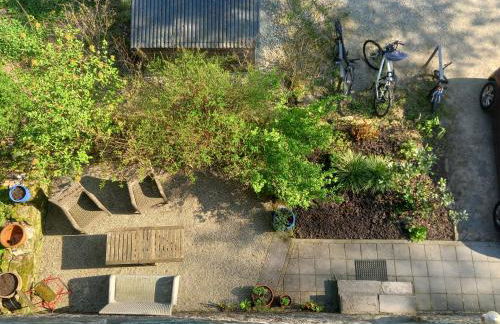 Alte Falknerei - Foto 24