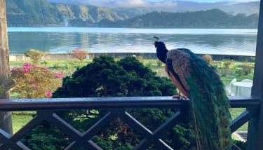 Casa dos Barcos Furnas - Foto 2