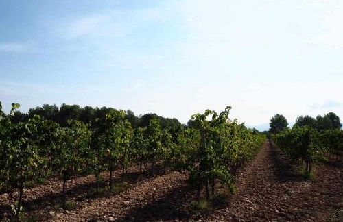 Masia Olivera - Foto 8