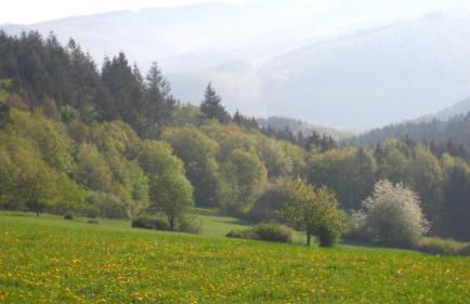 FeWo Marita - Foto 31