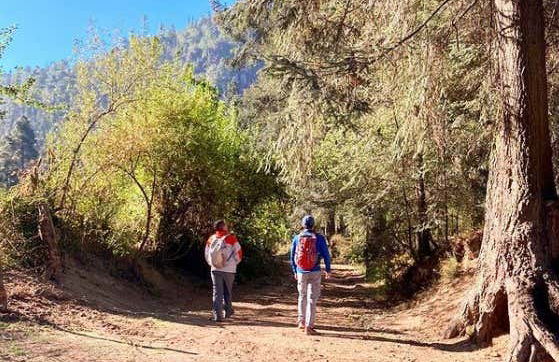 Nevado de Toluca National Park Hikes - Photo 3