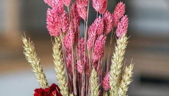 C'est l'Amour à la plage - Photo 4