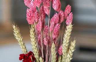 C'est l'Amour à la plage - Photo 4