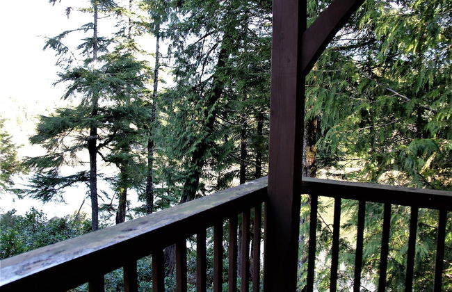 Black Bear Cottage - Photo 15