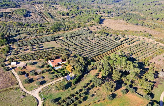 Carcavelos Villa With Pool - Foto 31