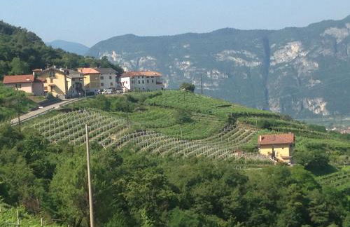 Agriturismo Eredi di Cobelli Aldo - Foto 44