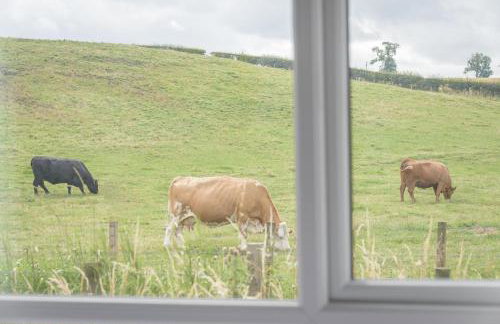 Eden View Estate - Swilcan Lodge - Foto 41