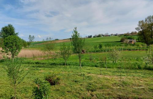 Domki pod Brzozą - Foto 26