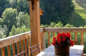 La Chevrière - Foto 24